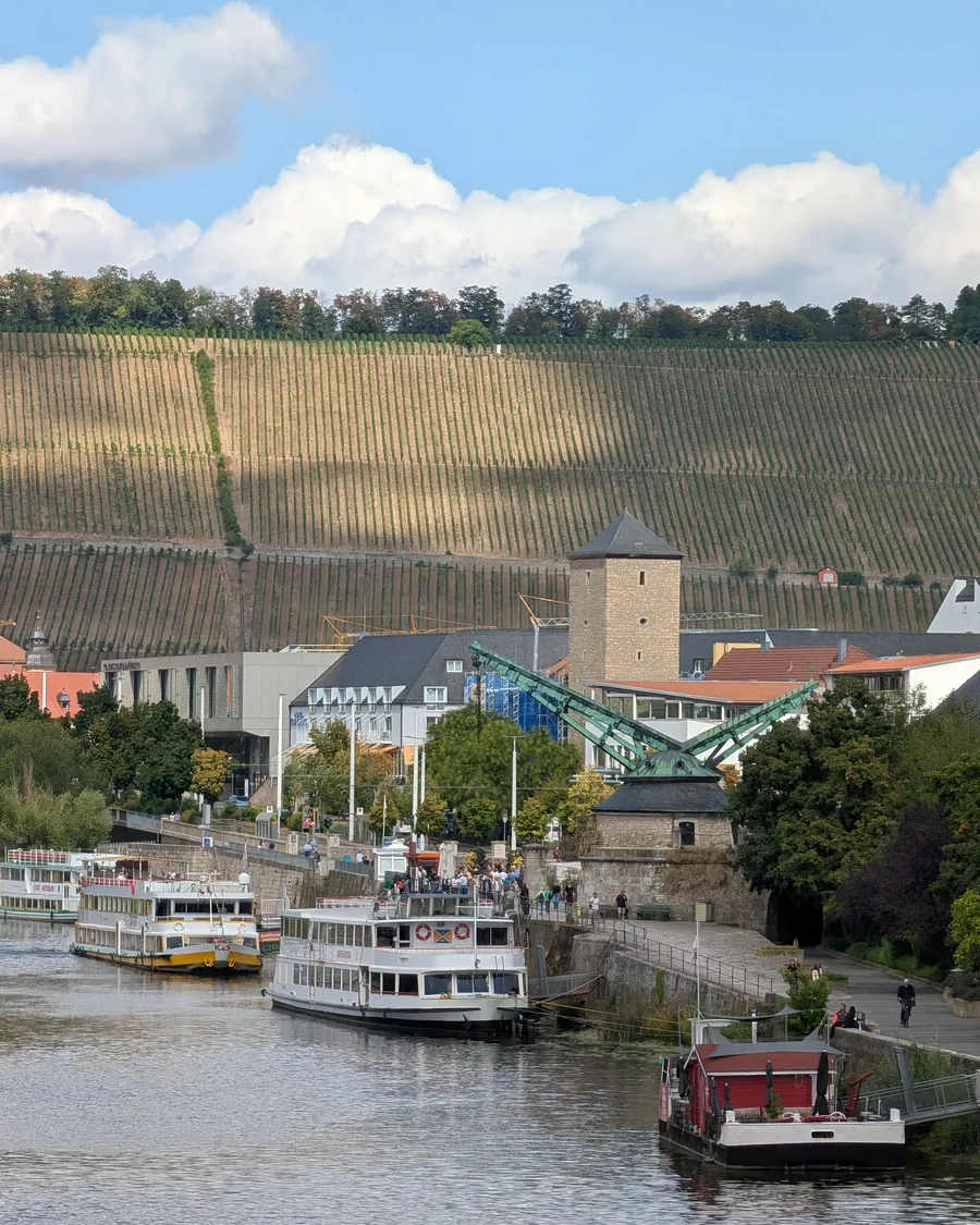 Der Alte Kranen am Mainufer mit den Ausflugsschiffen davor, dahinter die Weinberge am Stein