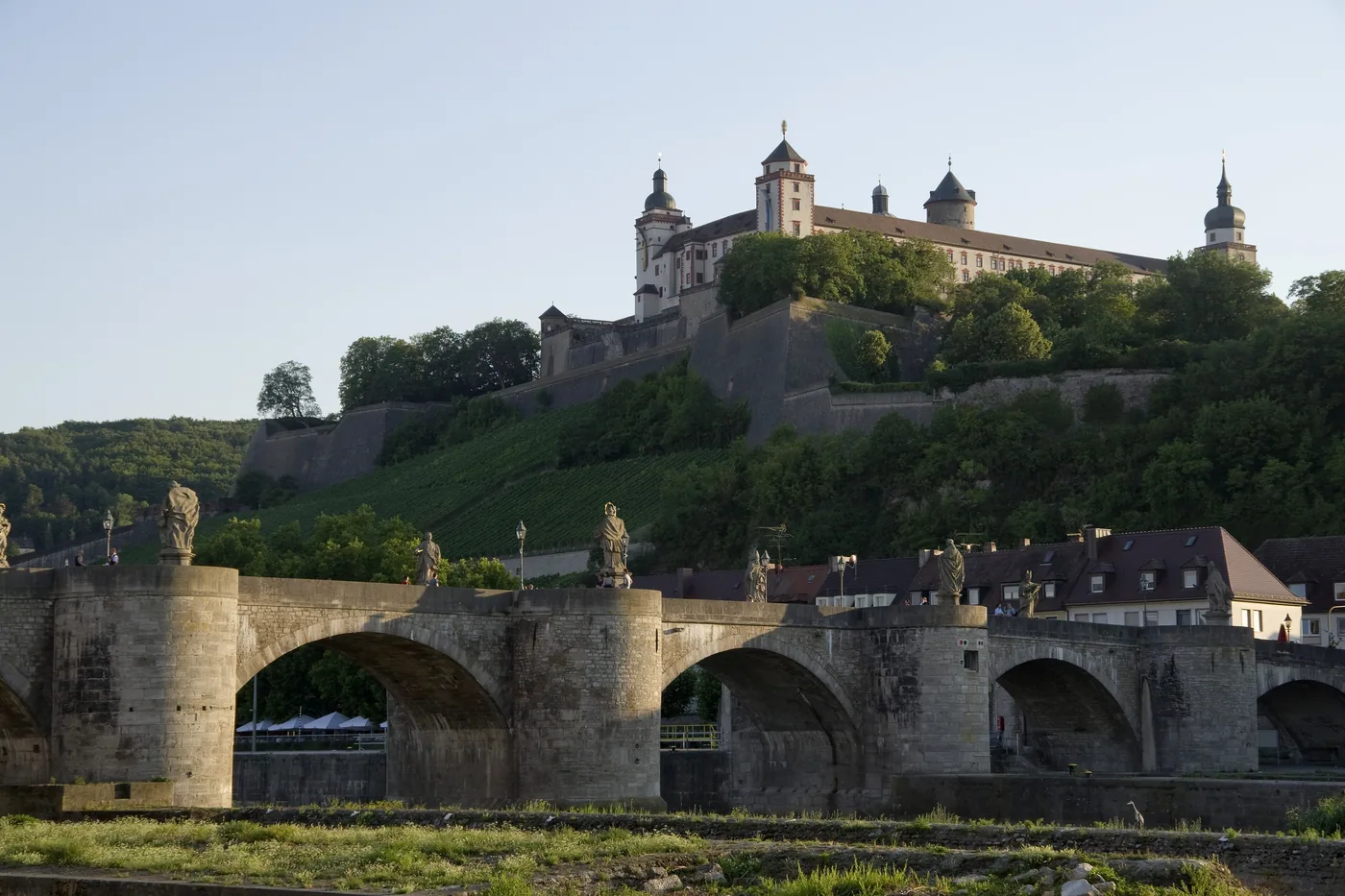 Die Festung Marienberg im warmen Abendlicht auf dem Berg über der Alten Mainbrücke, davor Weinberg und Uferwiese