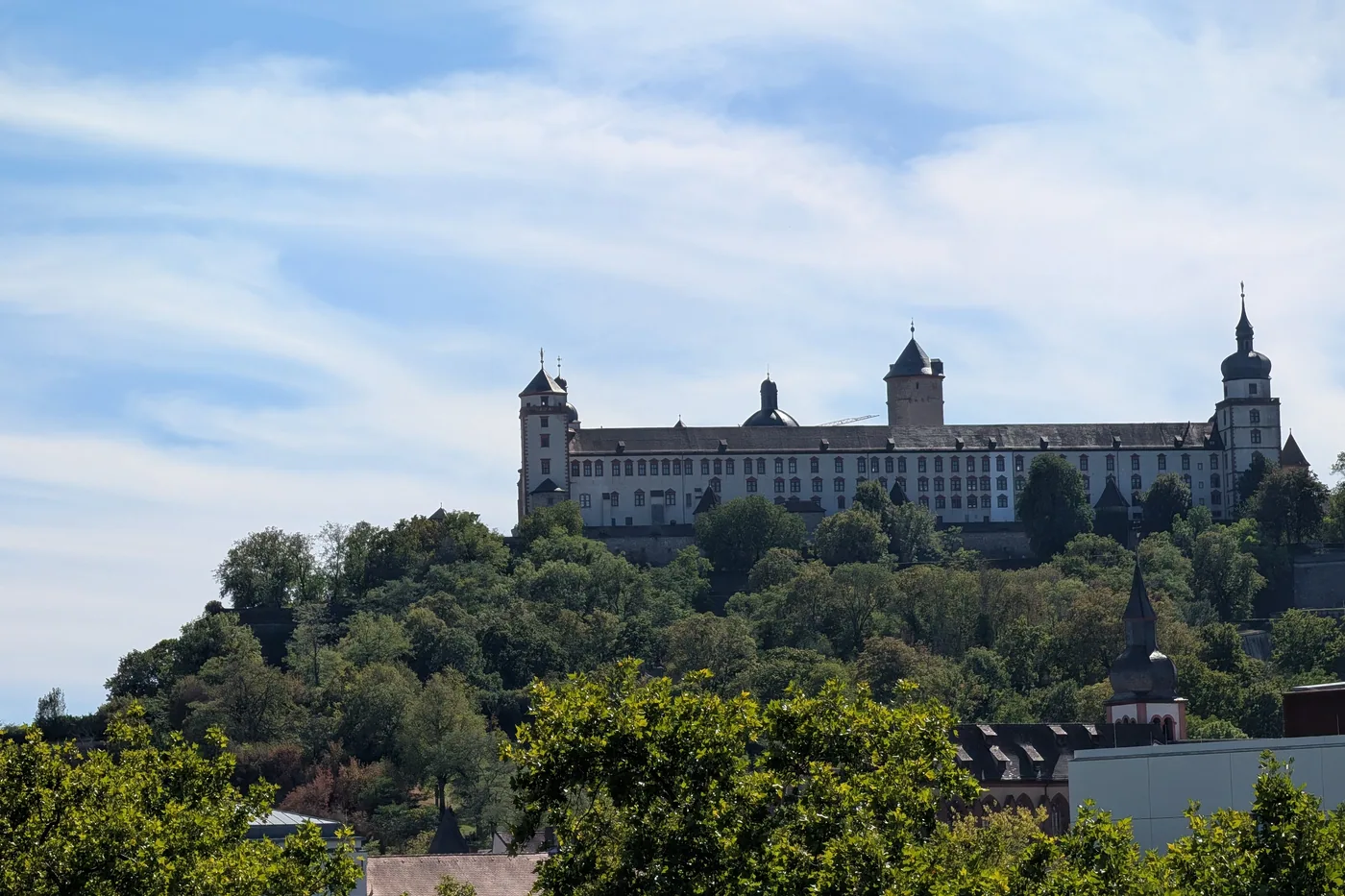 Die Festung Marienberg über dem bewaldeten Hang, von der Stadt aus gesehen