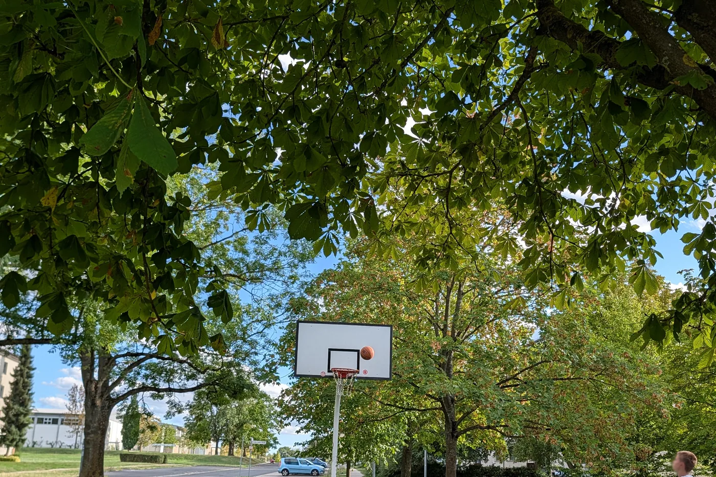 Ein Basketballplatz mit weißen Sternen auf dem Asphalt am Hubland, unter einer großen Kastanie, ein Jugendlicher wirft auf den Korb