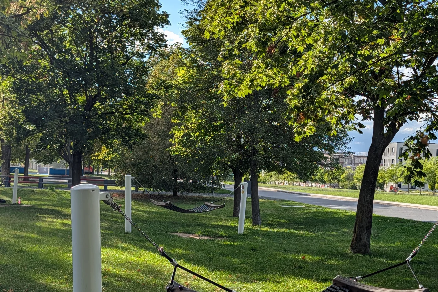 Eine Hängematte zwischen zwei weißen Pfosten auf der Wiese am Hubland, dahinter weitere im Baumschatten