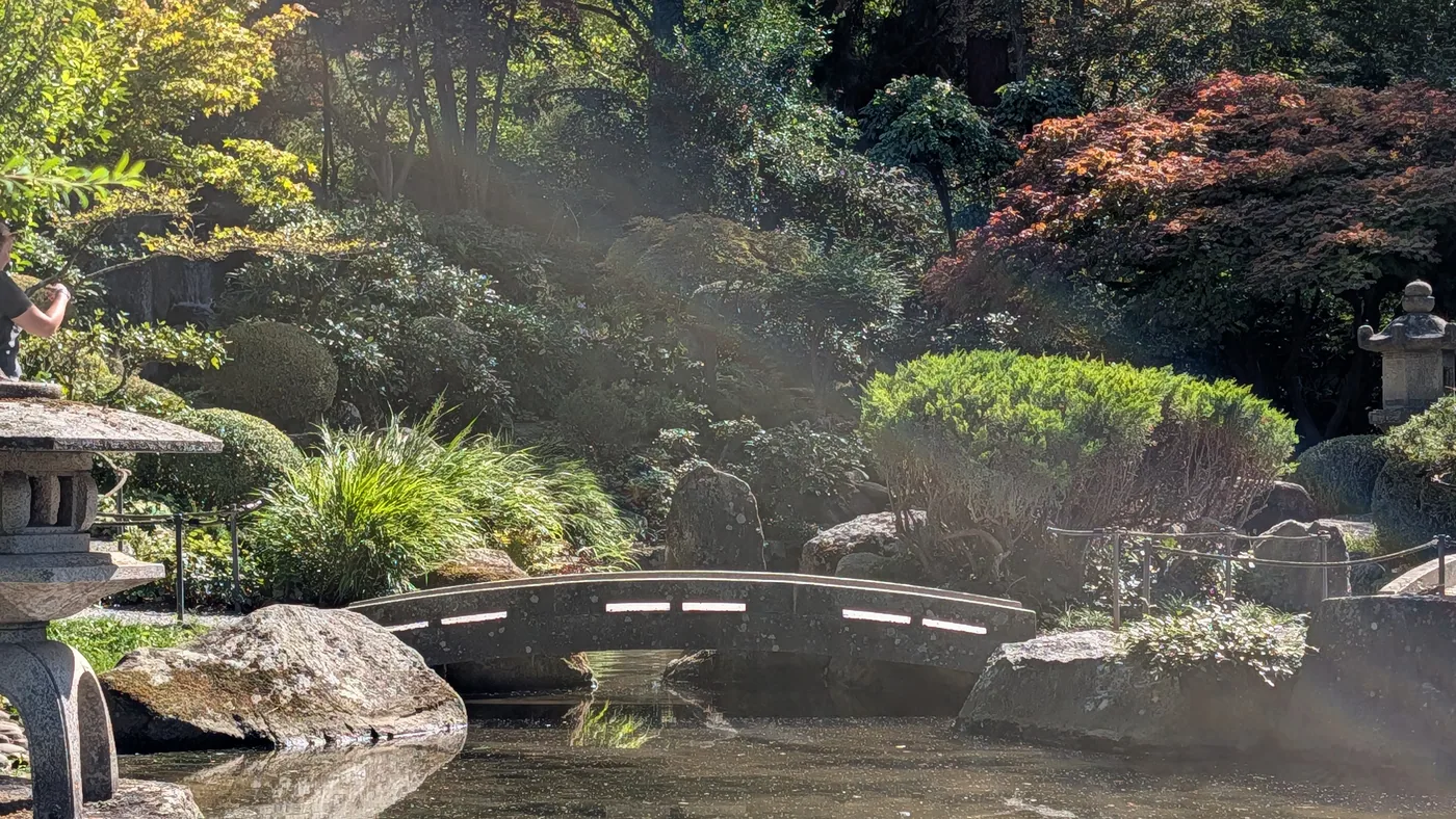 Der Teich im Japanischen Garten mit einer flachen Steinbrücke, links eine Steinlaterne, im Gegenlicht