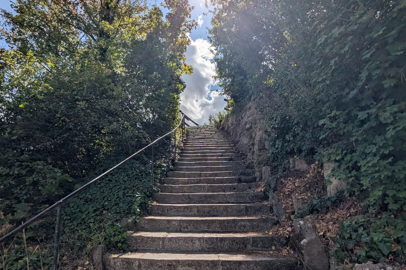 Der Stationsweg zum Käppele, eine lange Treppe zwischen Mauern und Hecken
