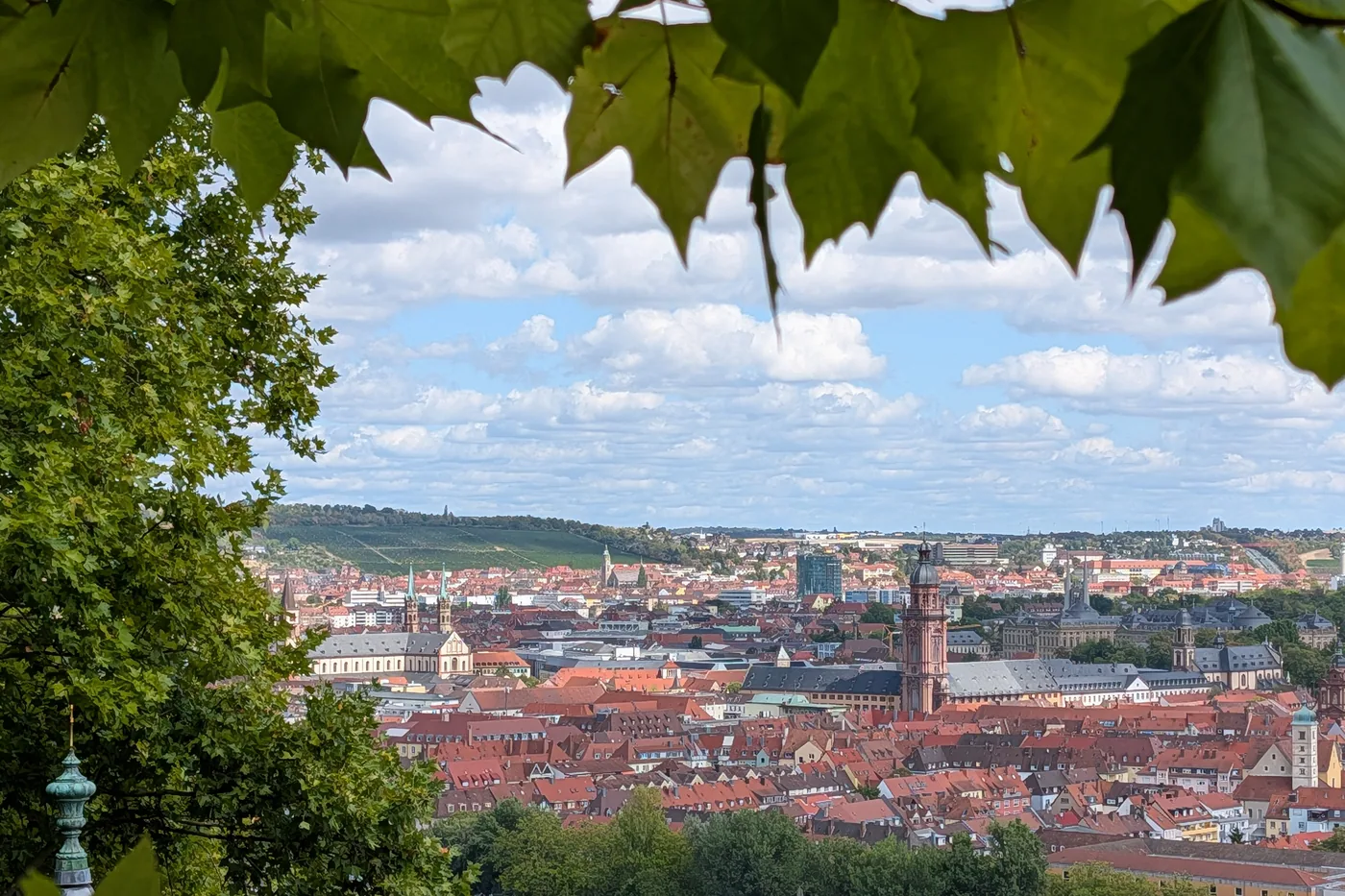 Blick vom Käppele über den Main auf die Altstadt, gerahmt von Ahornlaub