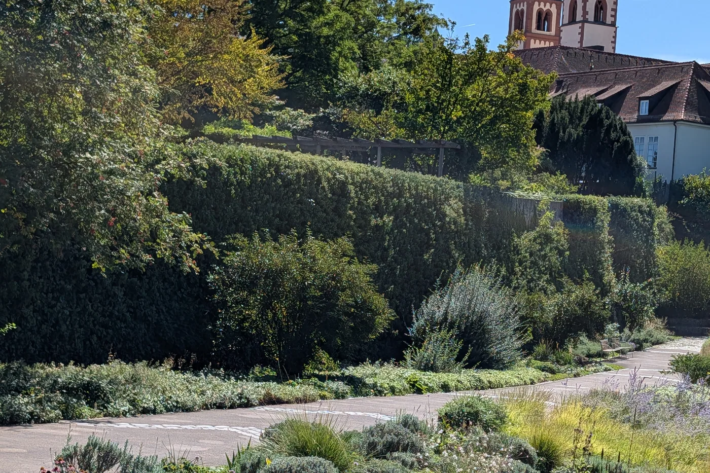 Der Apothekergarten mit Lavendel und Gräsern, dahinter die Türme der Burkarderkirche