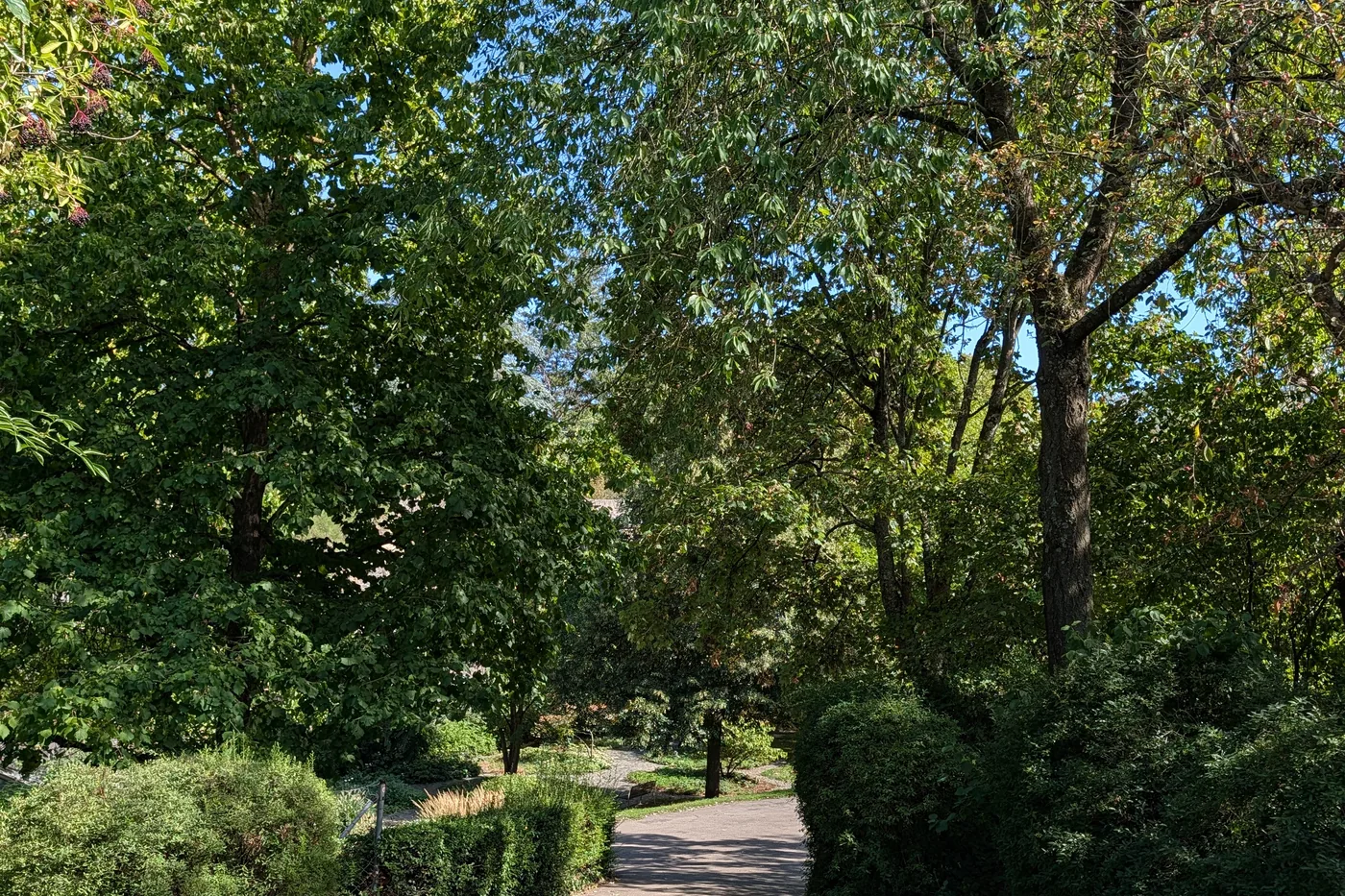 Ein Weg zwischen geschnittenen Hecken im unteren Teil des Parks