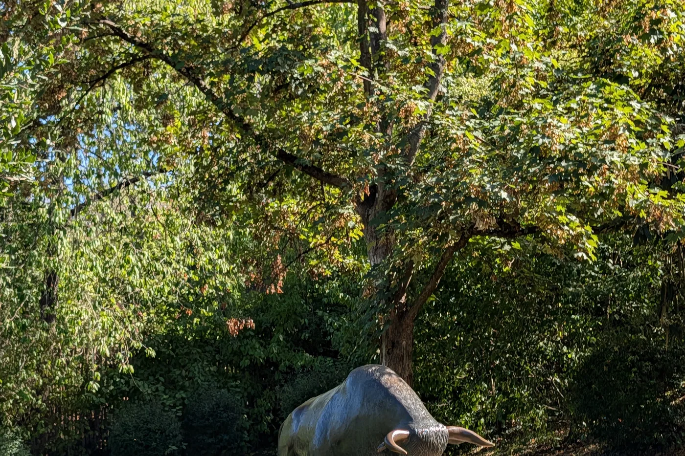 Die Bronzeskulptur eines liegenden Stiers auf der Wiese im Park