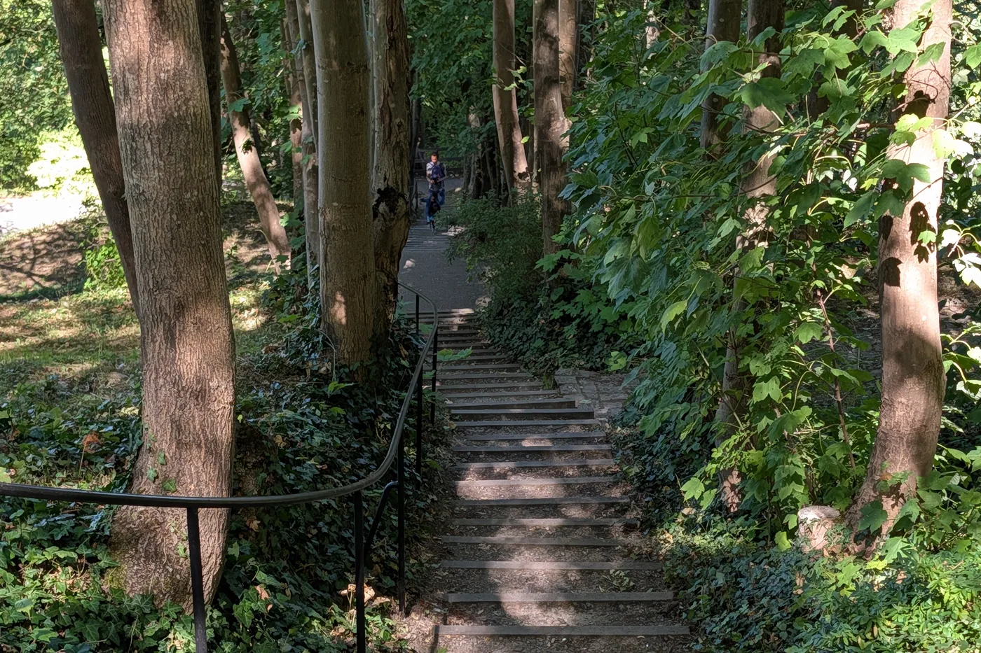 Eine lange Treppe durch das Waldstück hinauf zur Festung
