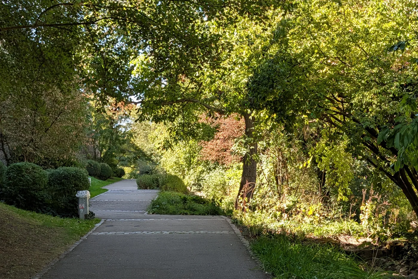 Der Hauptweg durch den Park, gesäumt von Gehölzen und Stauden