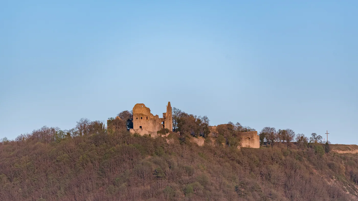 Die Burgruine Homburg auf einem bewaldeten Bergrücken über Gössenheim, Mauerreste und ein Turmstumpf gegen den Abendhimmel
