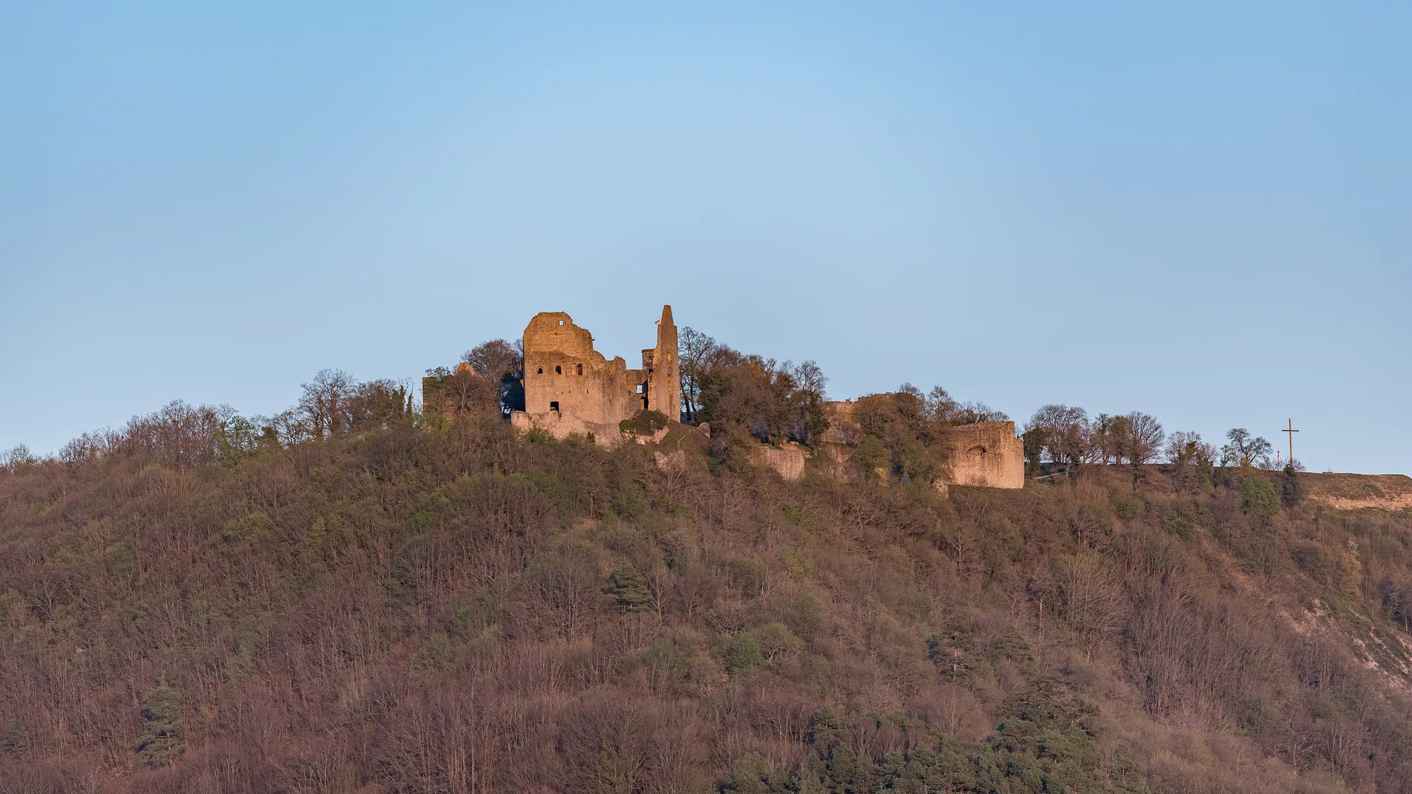 Die Burgruine Homburg auf einem bewaldeten Bergrücken über Gössenheim, Mauerreste und ein Turmstumpf gegen den Abendhimmel