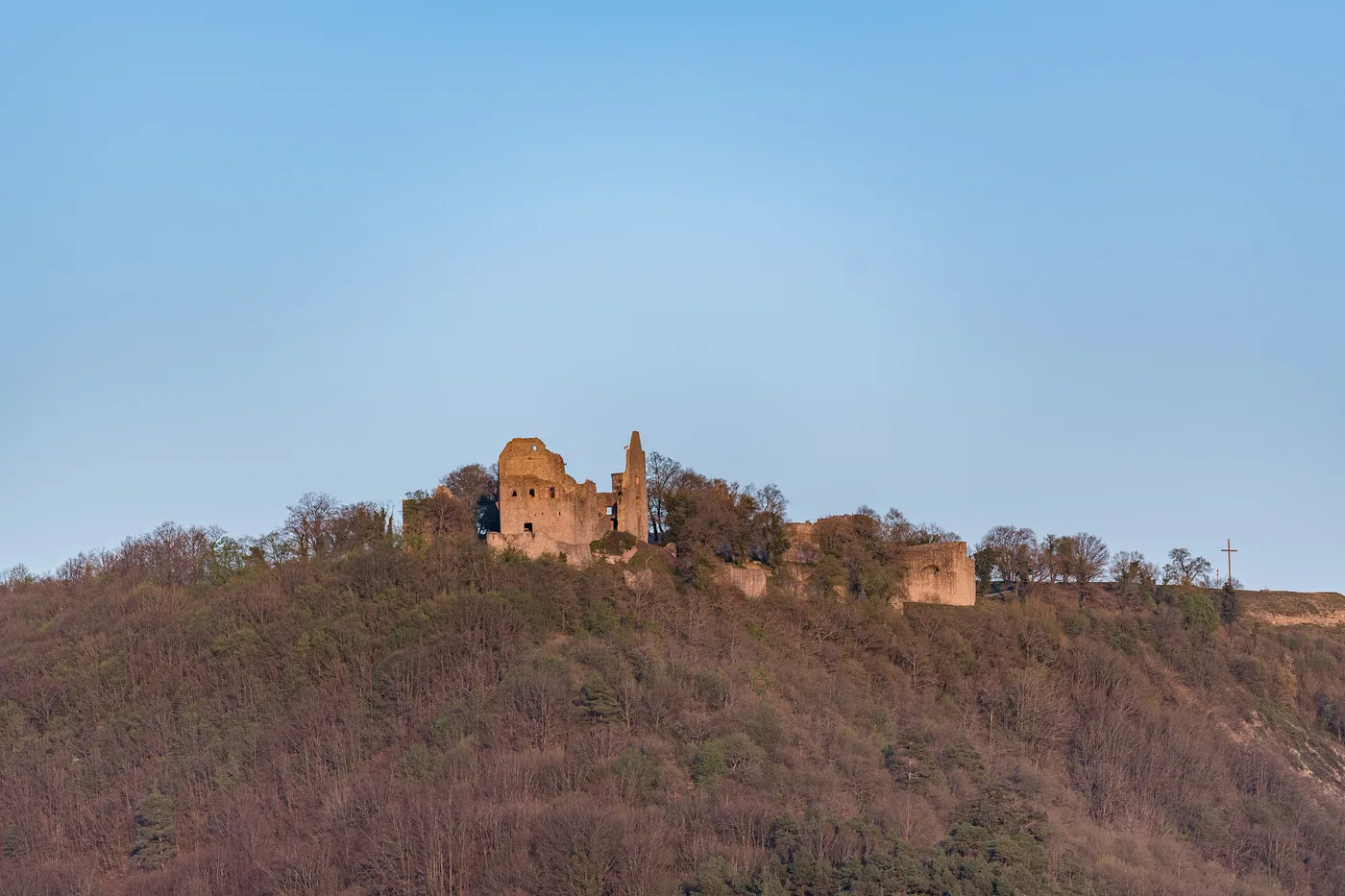 Die Burgruine Homburg auf einem bewaldeten Bergrücken über Gössenheim, Mauerreste und ein Turmstumpf gegen den Abendhimmel