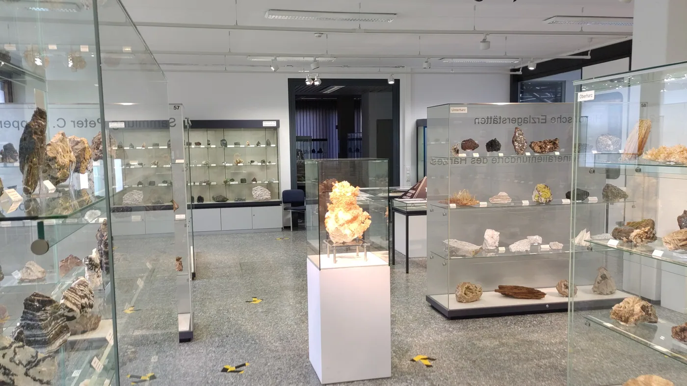 Ausstellungsraum des Mineralogischen Museums mit Vitrinen voller Gesteinsproben
