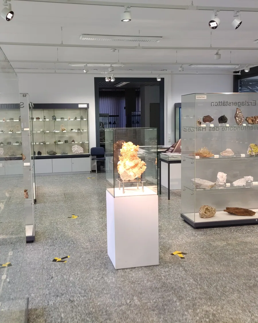 Ausstellungsraum des Mineralogischen Museums mit Vitrinen voller Gesteinsproben