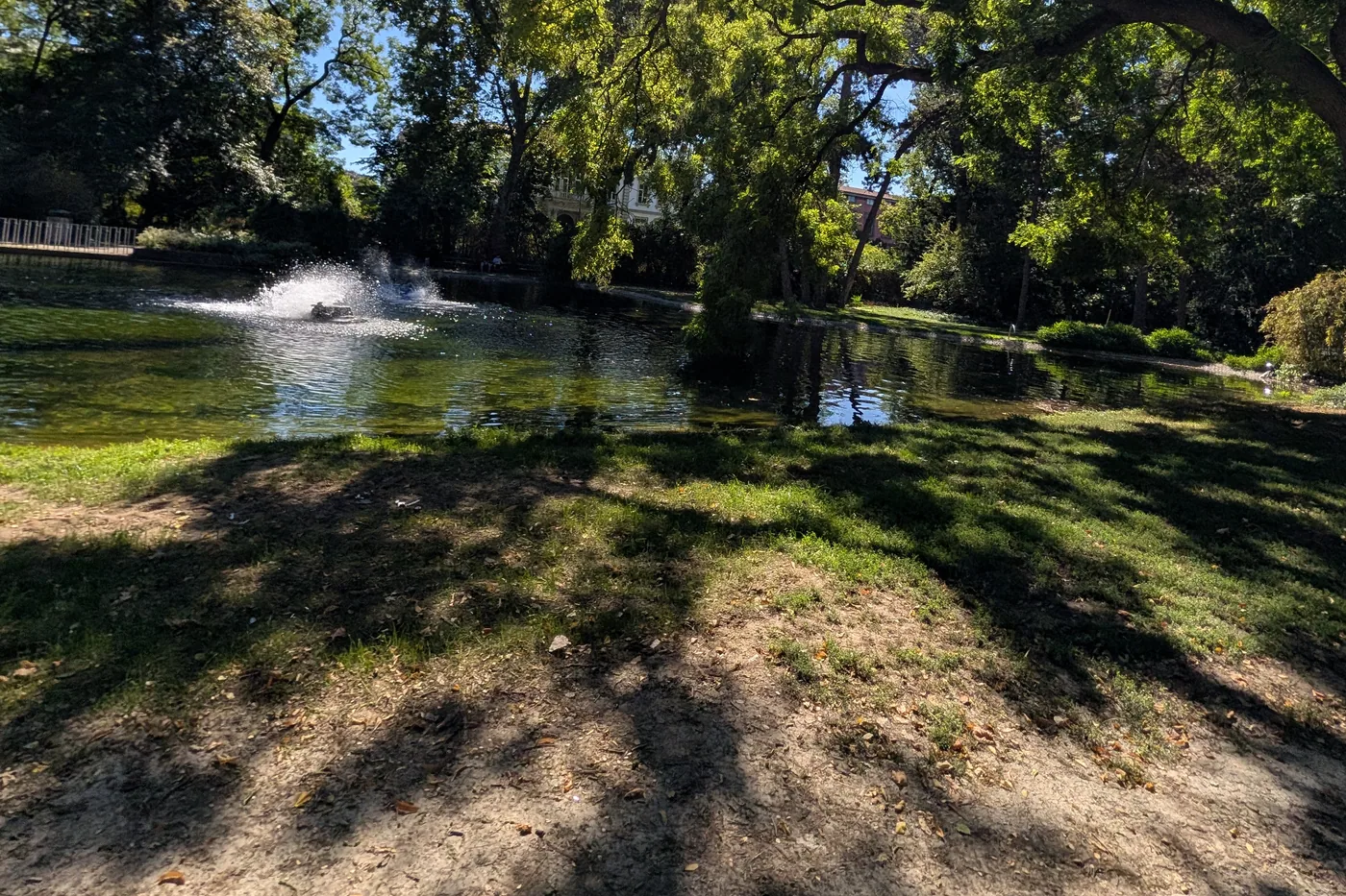 Der Ringparkteich im Gegenlicht, die Fontäne sprüht unter den Zweigen einer alten Weide