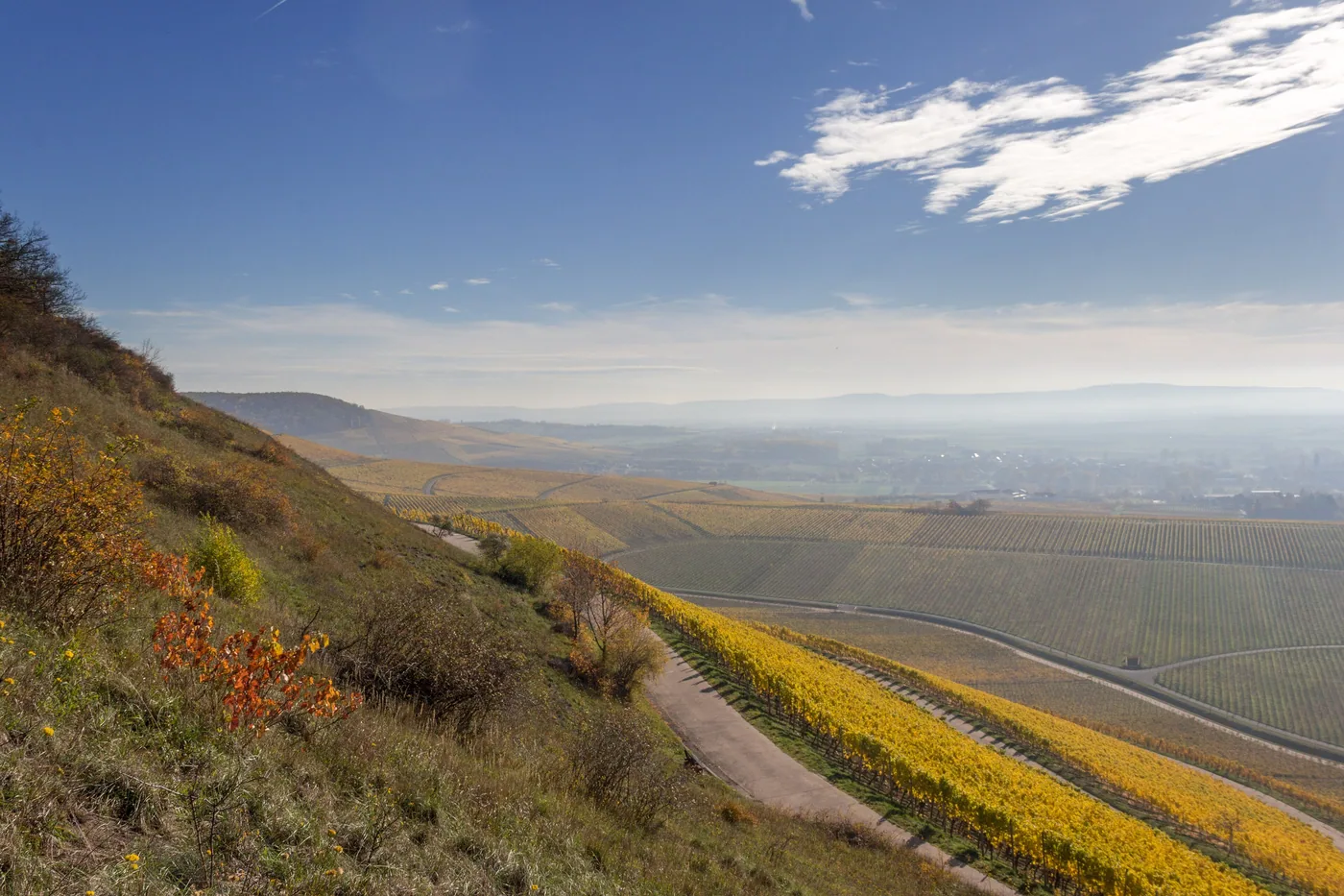 Blick vom terroir-f-Platz bei Iphofen über die Weinberge ins Tal