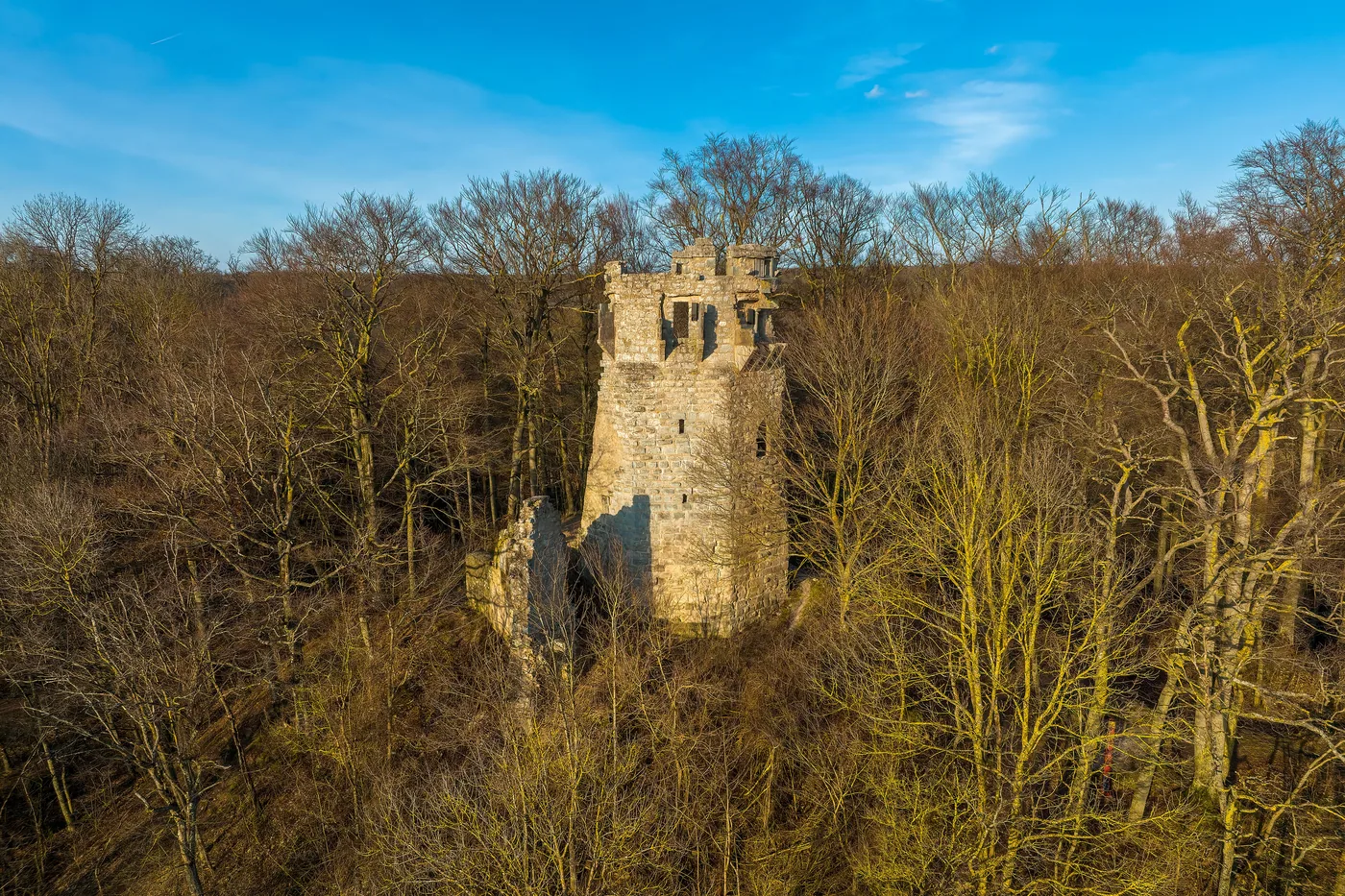 Turmruine im Wald am terroir-f-Platz bei Oberschwarzach