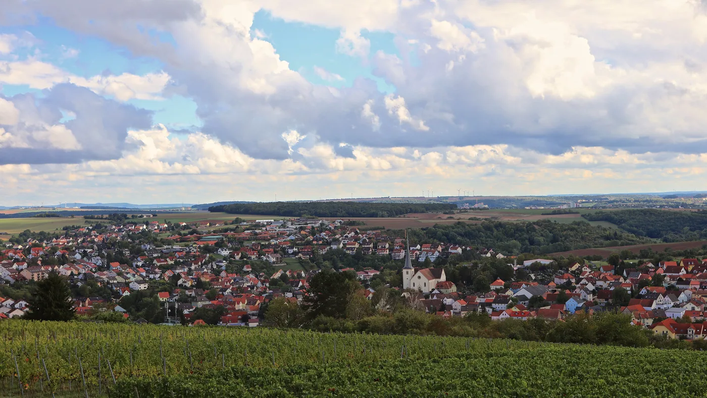 Blick vom terroir-f-Platz über Rimpar, davor Weinreben