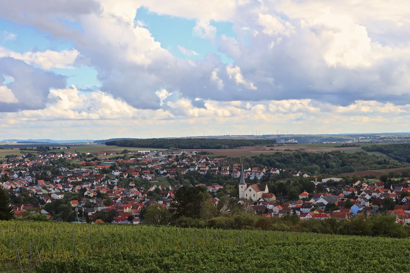 Blick vom terroir-f-Platz über Rimpar, davor Weinreben