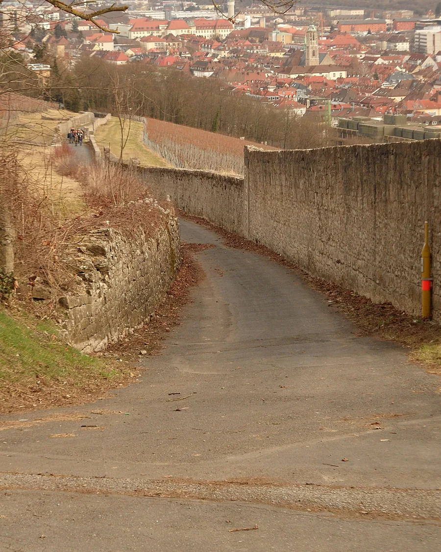 Weg durch die Weinberge am Stein mit Blick auf Würzburg