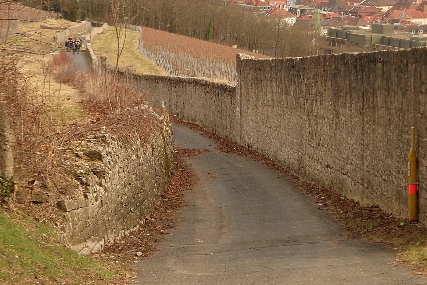 Weg durch die Weinberge am Stein mit Blick auf Würzburg